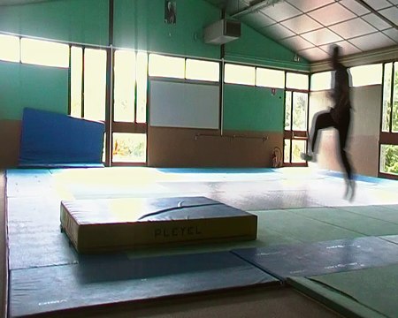 Henri Mauriès Salto Avant Rank :1 result :15.55 Ukrainian Open Championship 2012 Aerobic Gymnastics FIG (I-M seniors + 18 years)