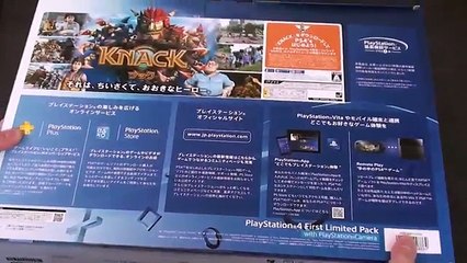 Japanese PS4 Unboxing - First Limited Pack + Camera [NihongoGamer]