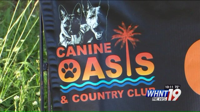 Mystery Surrounds Death of Disabled Veteran's Beloved Service Dog