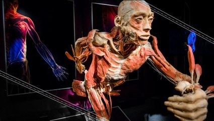 What Happens When You Donate Your Body to Science