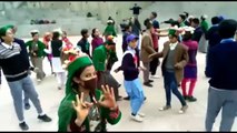 Kinnauri Girls Dance _ Free style kinnauri dance  Pahari Dance