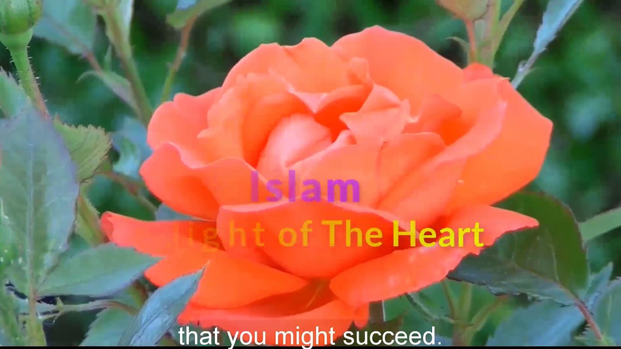 A Dua From A Tree  Ep 15 POP Ramadan 2018