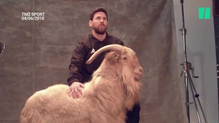 Lionel Messi pose avec une chèvre, mais n'est pas "le meilleur joueur de tous les temps"