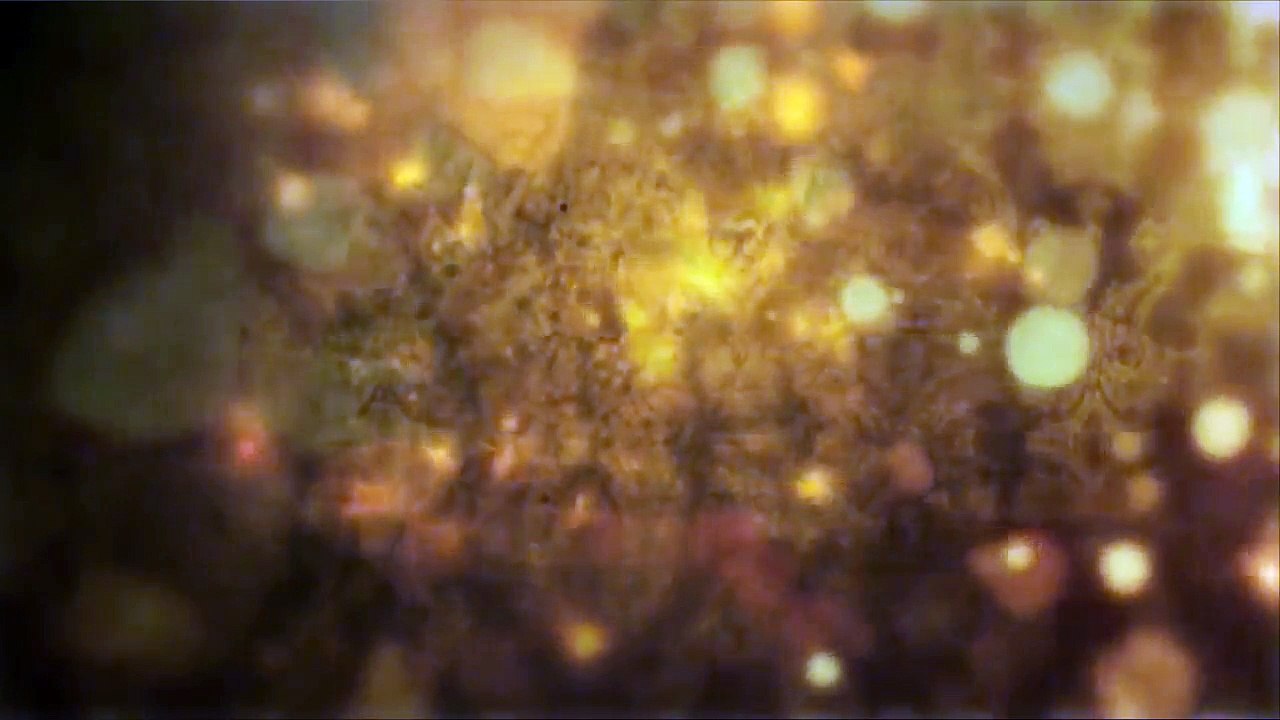 Ly Cafê Cuối Cùng - Thanh Phong, Duy Trường, Tường Nguyên, Tường Khuê