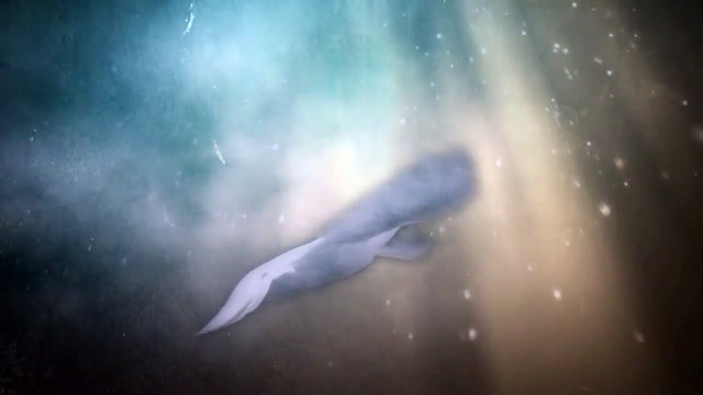 Trăng Lên Lều Vải - Tường Khuê, Từong Nguyên, Mỹ Huyền