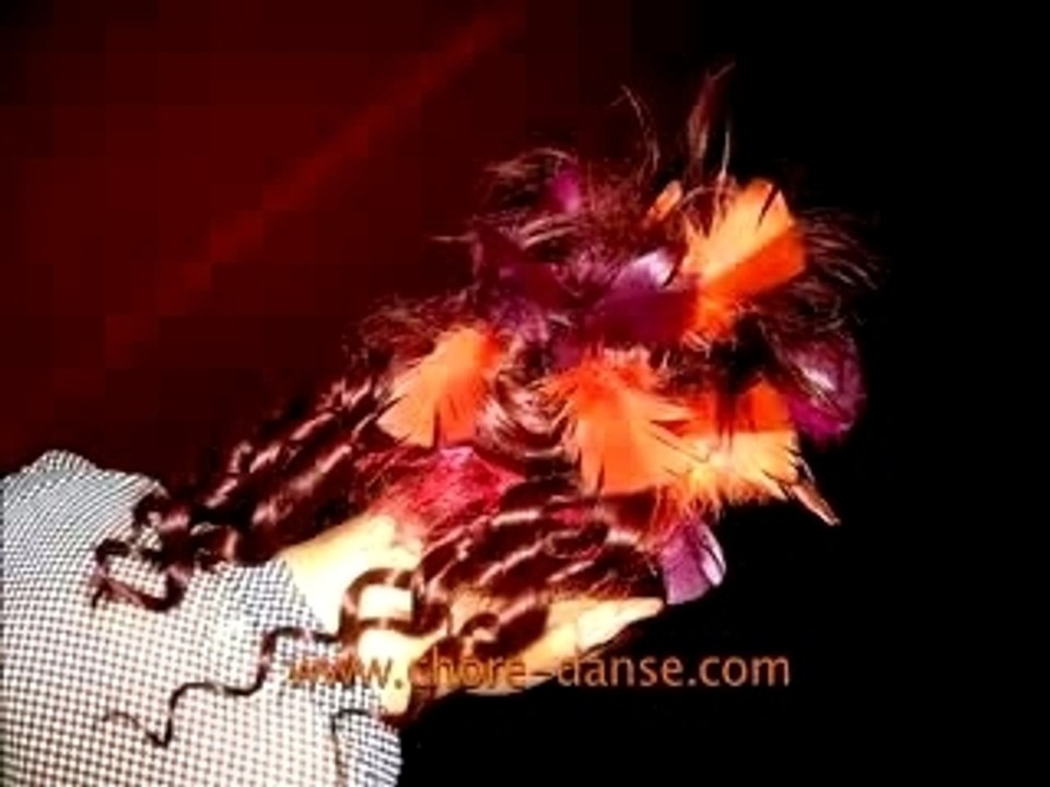 Diaporama ChoréDanse