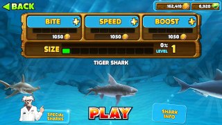 [HUNGRY SHARK EVOLUTION] Unlock/Upgrade All Sharks (HD 1080p)