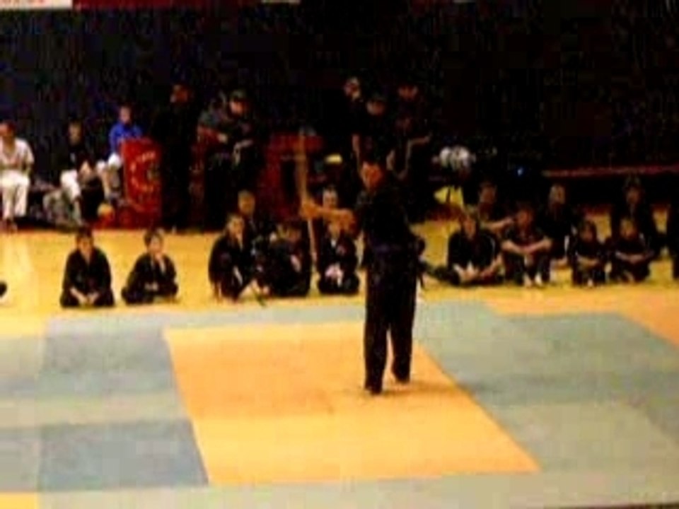 viet vo dao téléthon 2007