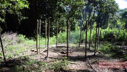 Primitive Technology- Round hut