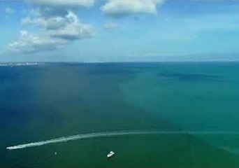 Lake Okeechobee Releases Brown Water Into Pristine Sanibel Island