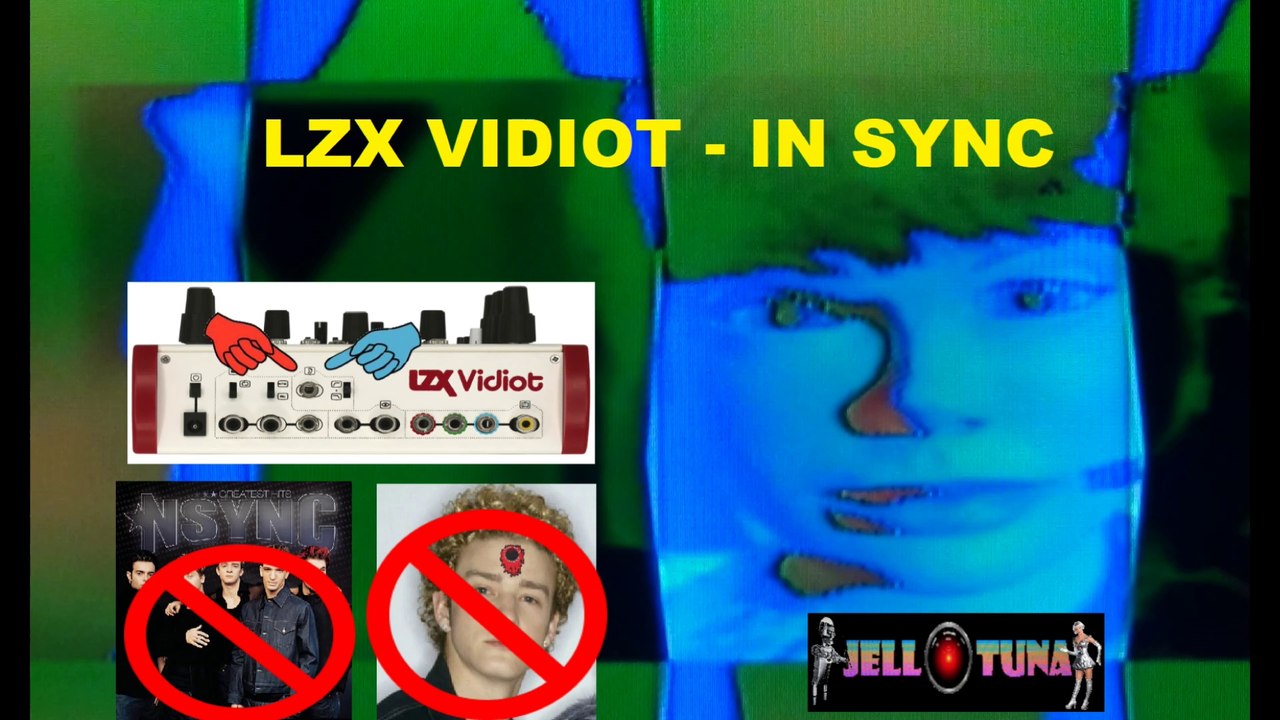 LZX Vidiot - In Sync