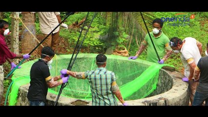 നിപ  വരാതിരിക്കാൻ ഈ കാര്യങ്ങൾ സൂക്ഷിക്കുക | Oneindia Malayalam