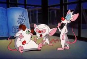 Pinky and the Brain S3E4 - Pinky & the Brain…and Larry