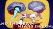 Pinky and the Brain S3E9 - All You Need Is Narf