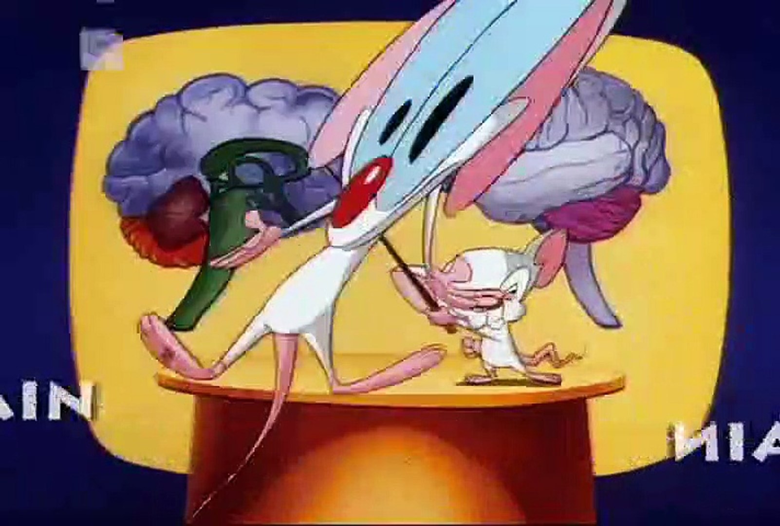 Pinky and the Brain Pinky and the Brain S01 E010 A Pinky and the Brain  Christmas - video Dailymotion