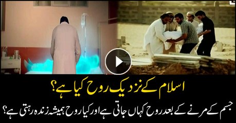 Understanding the Soul in Islam: Its Significance and Beliefs ✨