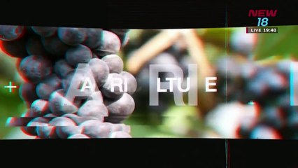 หมายคุยเกษตร คุยกับ คุณ ดุสิตา ธรรมสถิตพร เจ้าของฟาร์มเมล่อน พ.ฟาร์ม จ.นครนายก l 04 มิ.ย. 61 l NEW18 - YouTube