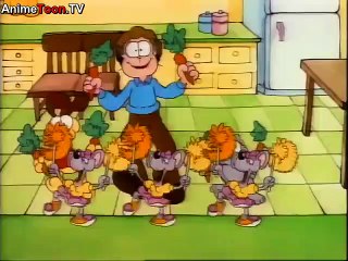 Garfield and Friends s6e1