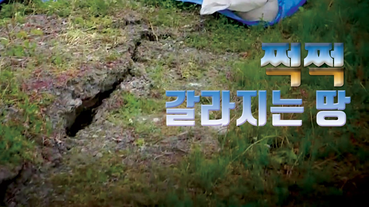 [자막뉴스] 땅이 쩍쩍 갈라지는 마을...무슨 일이? / YTN