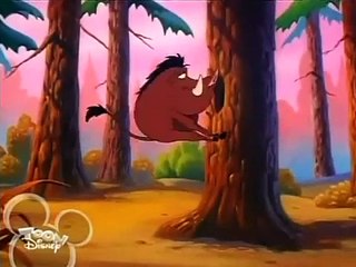 Timon & Pumbaa - Maine-Iacs (E35a)