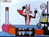 The Road Runner and Wile E. Coyote - eps 29