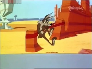 The Road Runner and Wile E. Coyote - eps 25