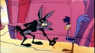 The Road Runner and Wile E. Coyote - eps 11