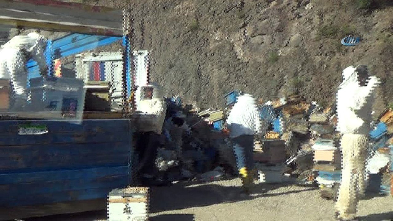 Arı kovanı yüklü kamyon devrildi, binlerce arı...