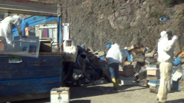 Arı kovanı yüklü kamyon devrildi, binlerce arı sürücülere zor anlar yaşattı