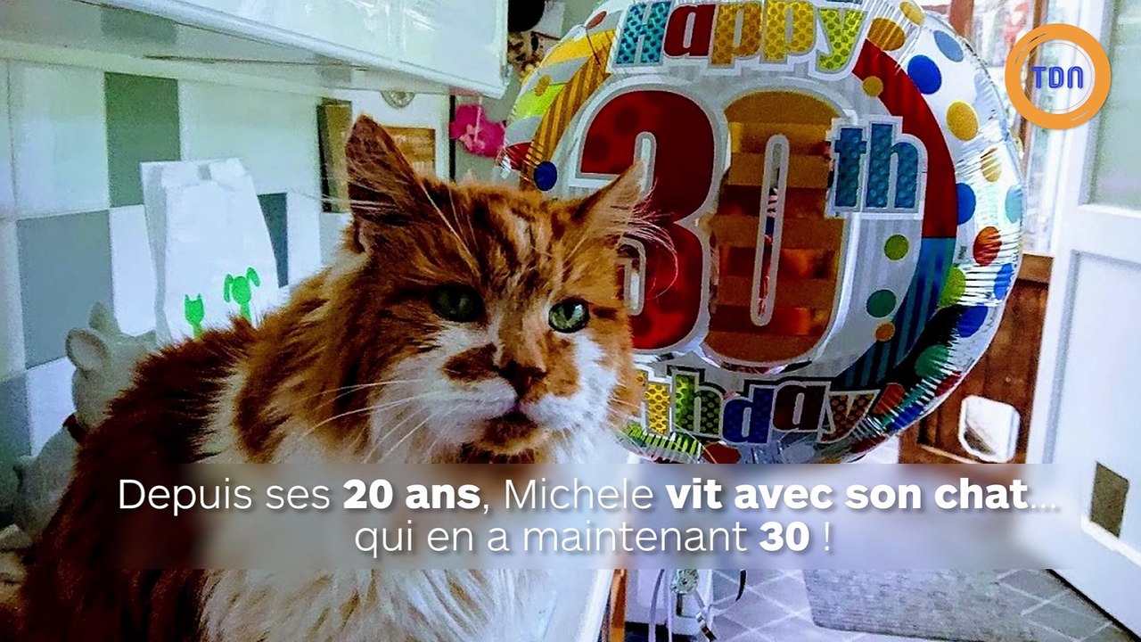 Ce chat est le plus vieux chat vivant