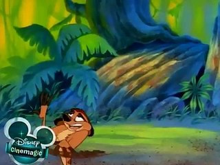 Timon & Pumbaa - The Pain in Spain - Frantic Atlantic (E7)