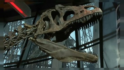 An unidentified dinosaur sells for over 2 million Euros at Paris Auction