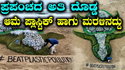 ಪ್ರಪಂಚದ ಅತಿ ದೊಡ್ಡ ಆಮೆ ಪ್ಲಾಸ್ಟಿಕ್ ಹಾಗು ಮರಳಿನದ್ದು | Oneindia Kannada