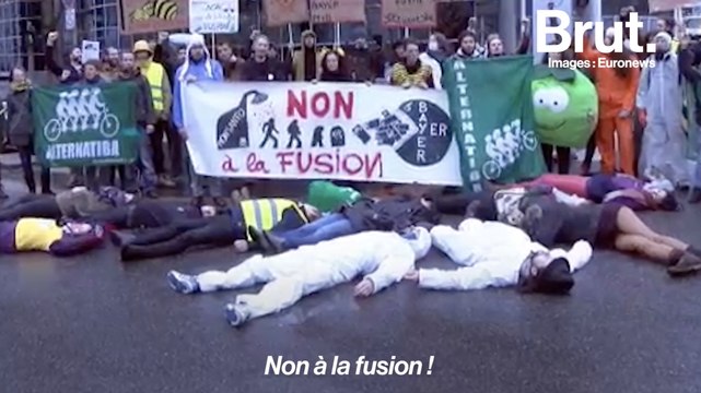 Le géant des pesticides Monsanto racheté par Bayer