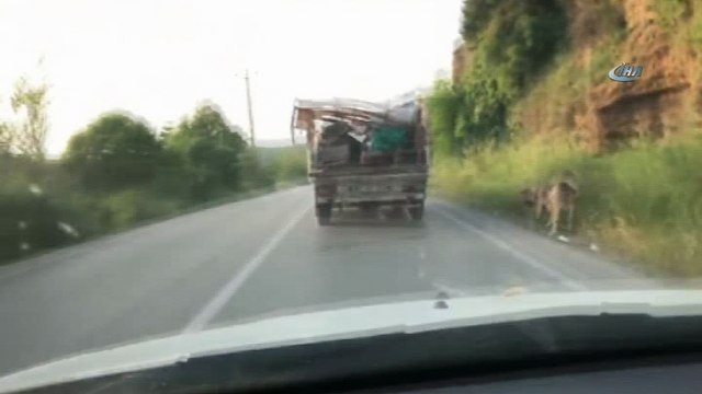Köpeği iple kamyonetin arkasına bağlayıp böyle sürükledi