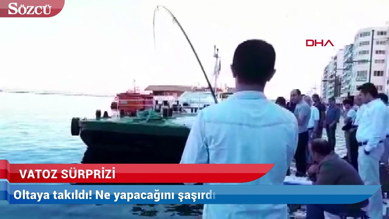 Oltaya takıldı! Ne yapacağını şaşırdı