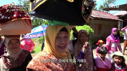 세계테마기행 - 그 섬에 가면 인도네시아 3부- 그들이 사는 세상, 부키팅키_#001