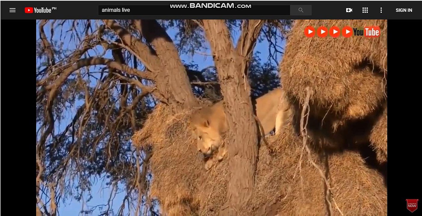 생방송카지노-생방송카지노@そ[▶SK701.COM◀]ゆ@배팅사이트-스코어사이트@인터넷벳-인터넷토토さ@라이브토토-토토싸이트@스포츠토토-온라인토토の@배팅사이트-토토사이트@라이브스코어-스코어사이트ゃ@라이브벳-토토싸이트@인터넷토토-라이브벳せ@온라인토토-라이브스코어@라이브배팅-토토싸이트ぷ@라이브토토-인터넷벳@토토사이트-라이브배팅す@토토주소-라이브토토@스코어사이트-온라인토토る@라이브배팅-토토사이트@스포츠토토-배팅사이트ぽ@토토사이트-온라인배팅@토토주소-토토주소が@라이