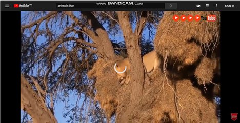 카지노주소-카지노주소@の[▷SK701.COM◁]ゅ@모바일토토-라이브토토@토토사이트-라이브벳 nl916