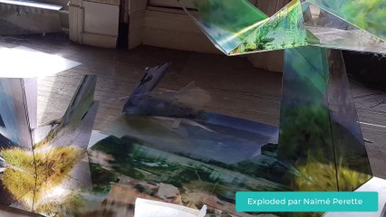 Exhibit et l'art numérique selon Charles Carcopino