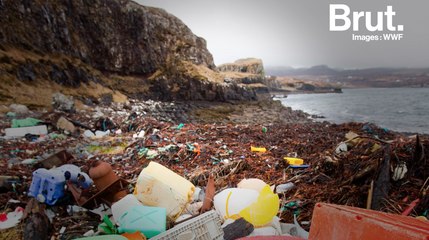 #BeatPlasticPollution, une campagne pour dénoncer l'impact du plastique