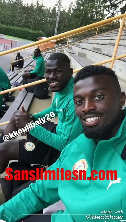 Regarder ce que font les lions à quelques jours du mondial