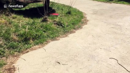 'We thought this was a snake. But it turned out to be something even scarier'