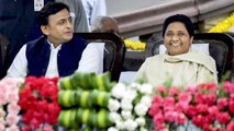Akhilesh Yadav ने Mayawati को 80 में से 40 Seat देने पर दिया बड़ा बयान | वनइंडिया हिंदी