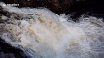 First Atlantic Salmon begin annual migration to spawning grounds in Scotland