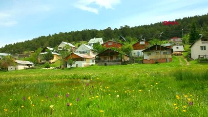 Sivas Ayder'i, 'Eğriçimen Yaylası' Büyülüyor-Hd