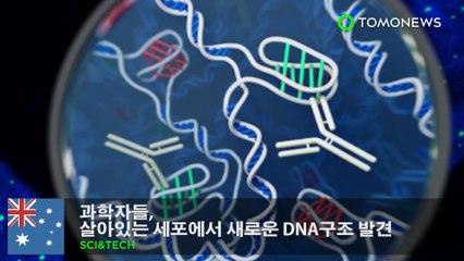 과학자들, 살아있는 세포에서 새로운 DNA구조 발견