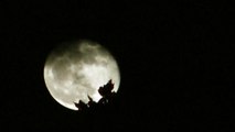 Timelapse Moon phases 05/12/2017 Italy