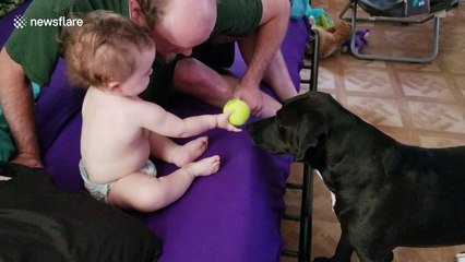 This is what friendship looks like between a dog and a baby