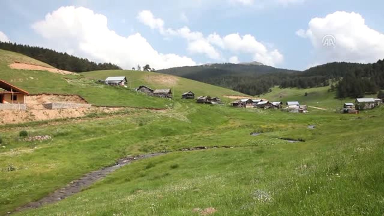 Sivas'ın Yaylaları Turizme Kazandırılıyor